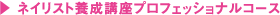 ネイリスト養成講座プロフェッショナルコース
