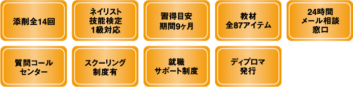 プロフェッショナルコース