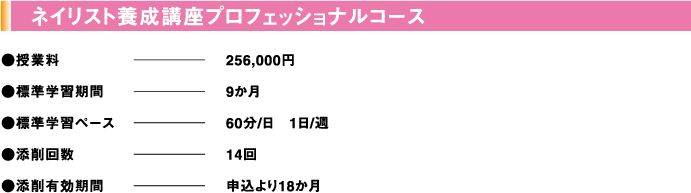 ネイリスト養成講座プロフェッショナルコース