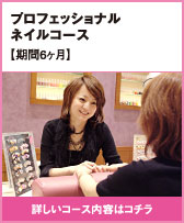 プロフェッショナル ネイルコース