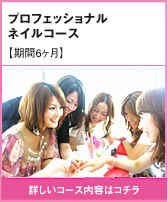 プロフェッショナル ネイルコース