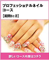 プロフェッショナルネイルコース