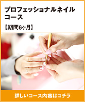 プロフェッショナルネイルコース