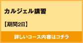 カルジェル講習