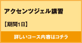 アクセンツジェル講習