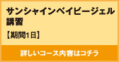 サンシャインベイビージェル講習