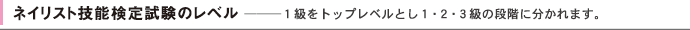 ネイリスト技能検定試験のレベル