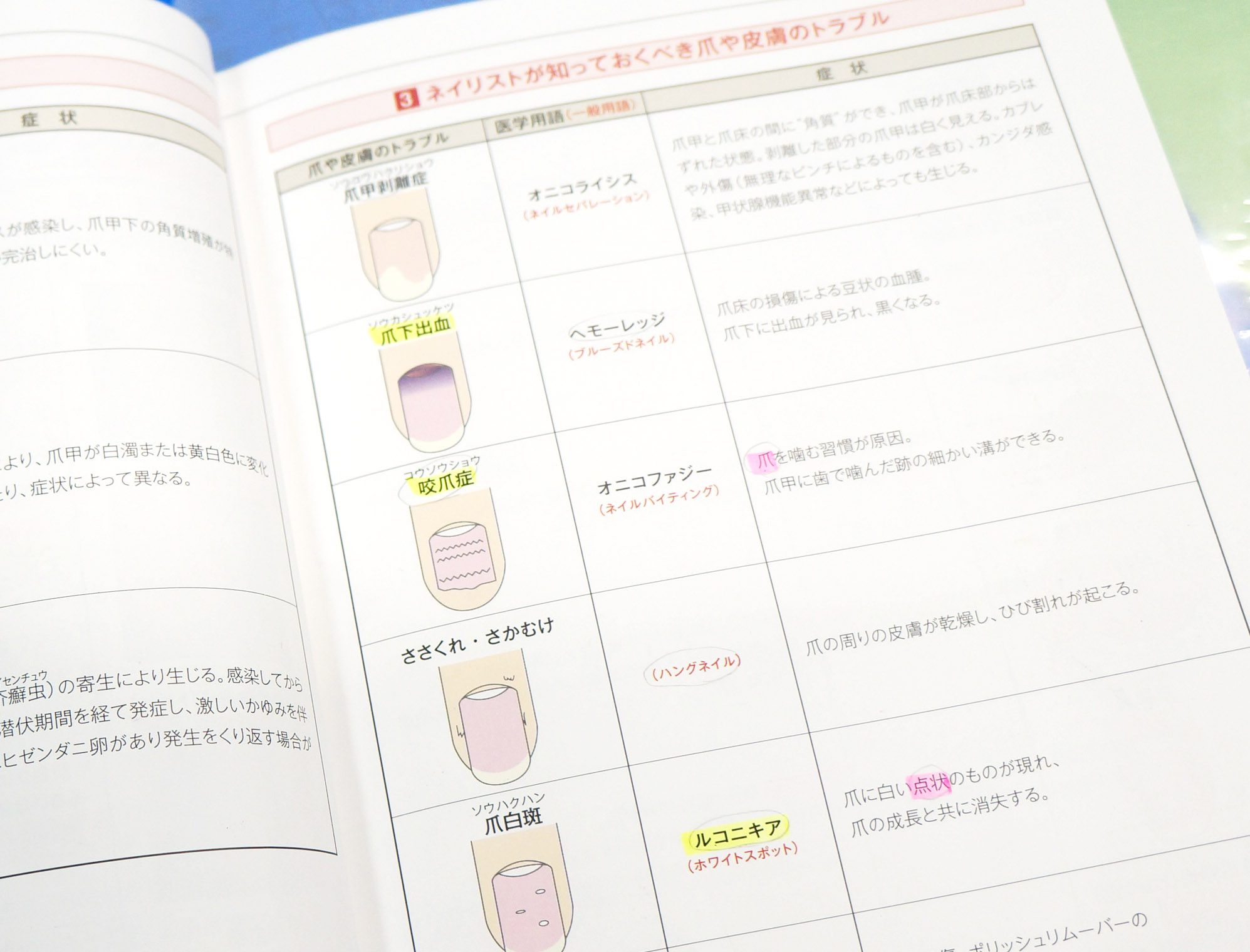 爪の健康を守れるネイリストに お知らせ ネイリスト ネイルスクール ヘアメイクスクール K Two Beauty School